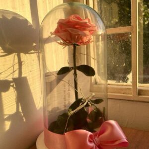 Rosa preservada con luces